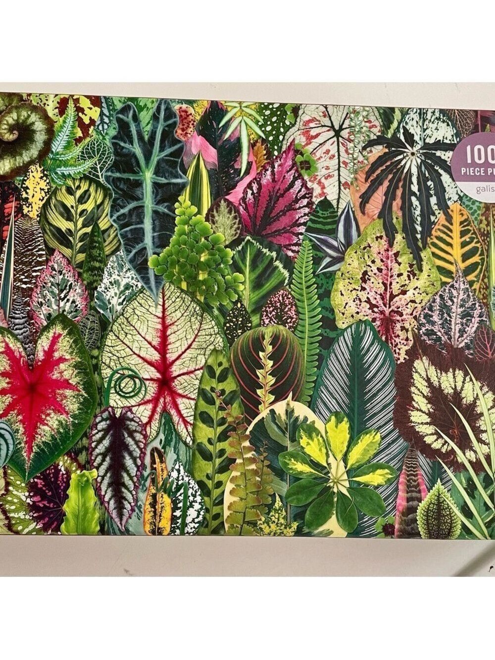 Galison Houseplant Jungle 1000 Piece Puzzle 27 x 20
